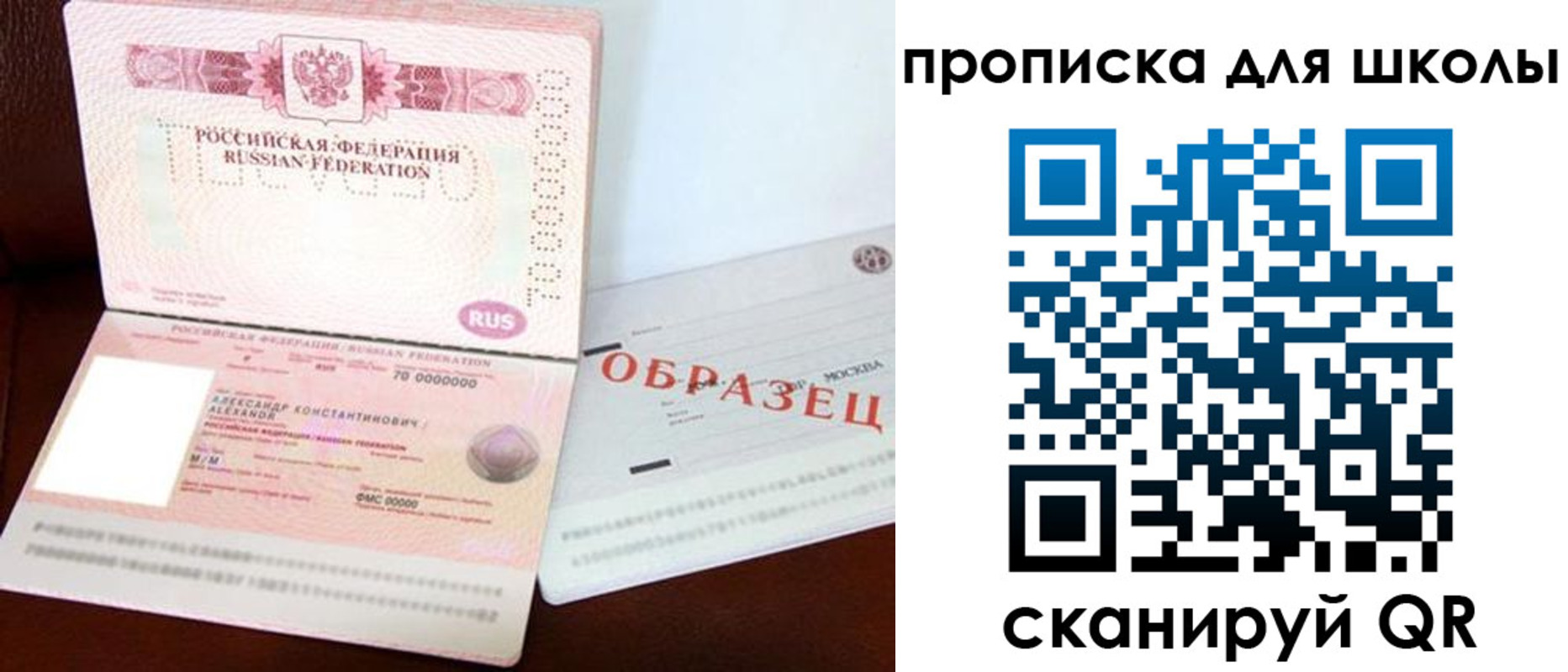 прописка для школы в Мурино